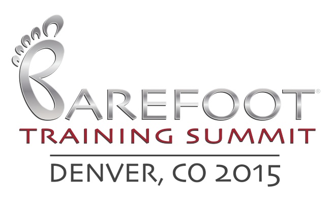 Summit Denver Logo